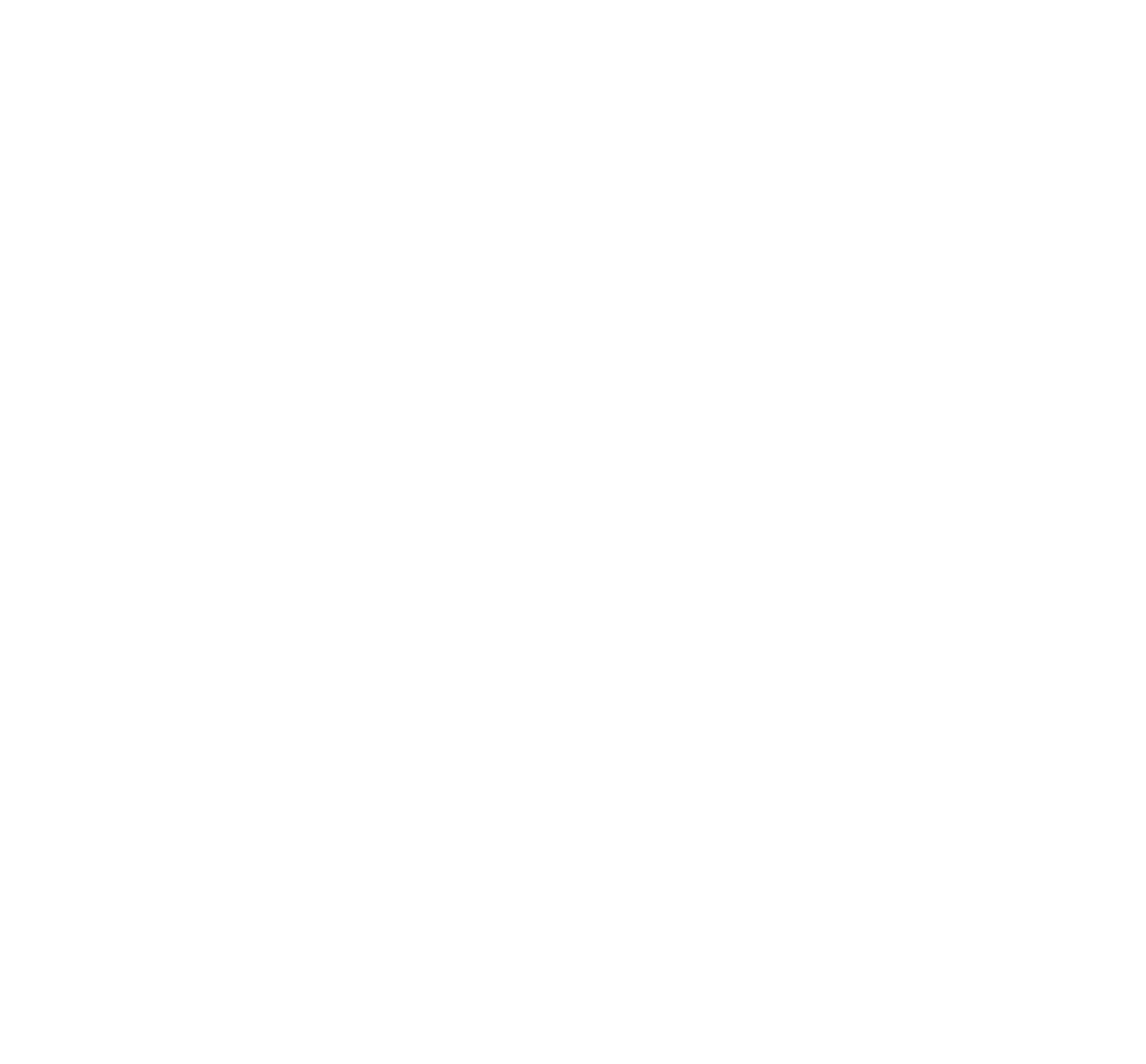 Shorebird Management Logo